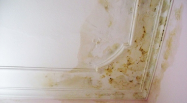 Lỗi thường gặp khi thi công trần thạch cao tran-thach-cao-bị-o-vang