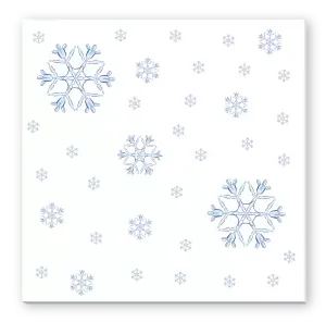 vt sac net web 13